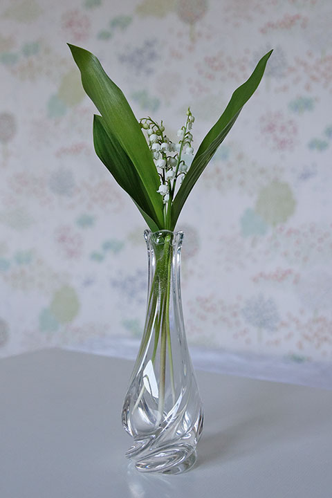 260426n6735-b.jpg
