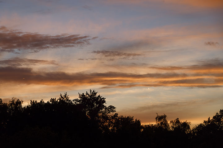 260504n6787-b.jpg