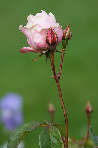 260520n6844-b.jpg
