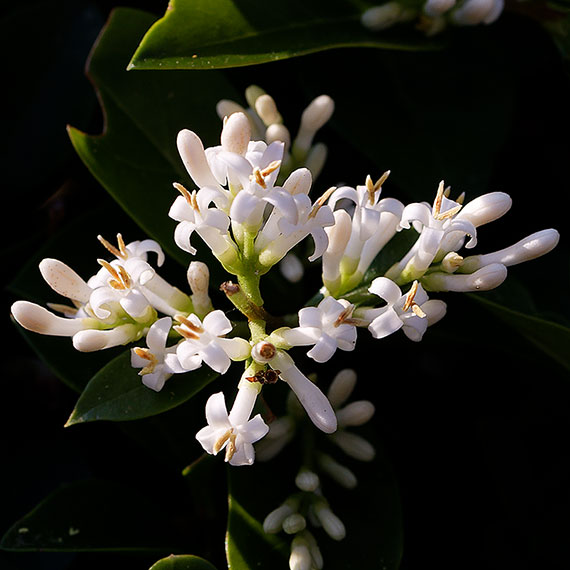260529m7603-b.jpg