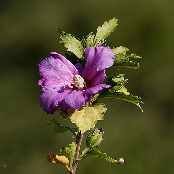 260625n6963-b.jpg