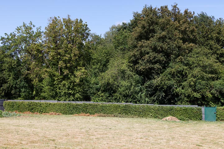 260703n6987-b.jpg