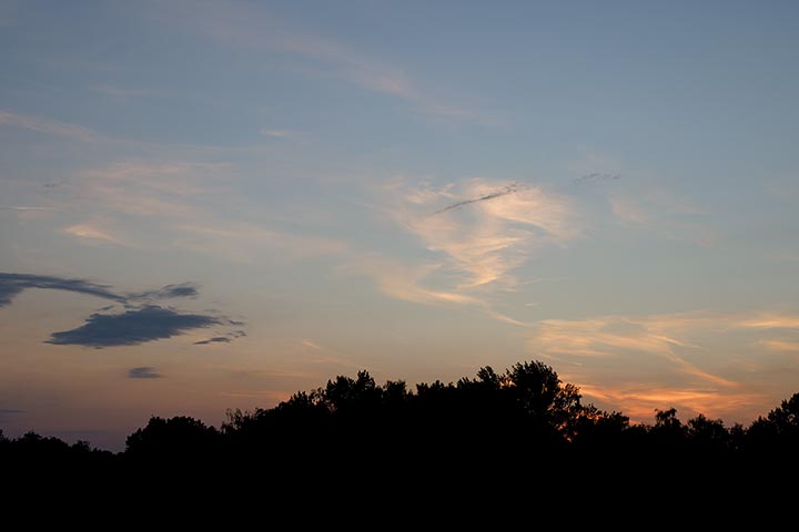260802n7051-b.jpg