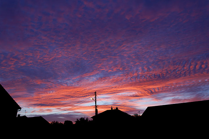260902n7129-b.jpg