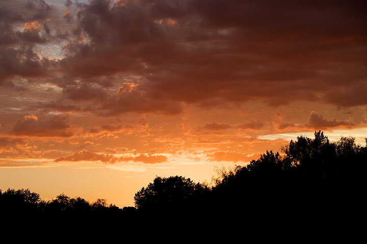 260902n7131-b.jpg