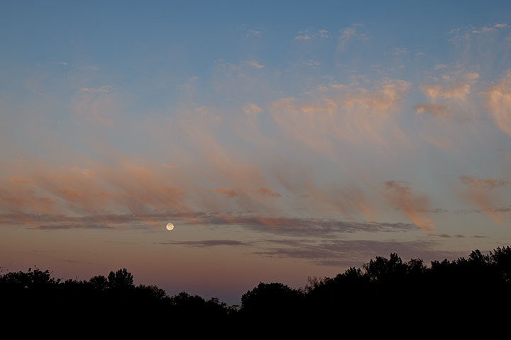 260927n7199-b.jpg