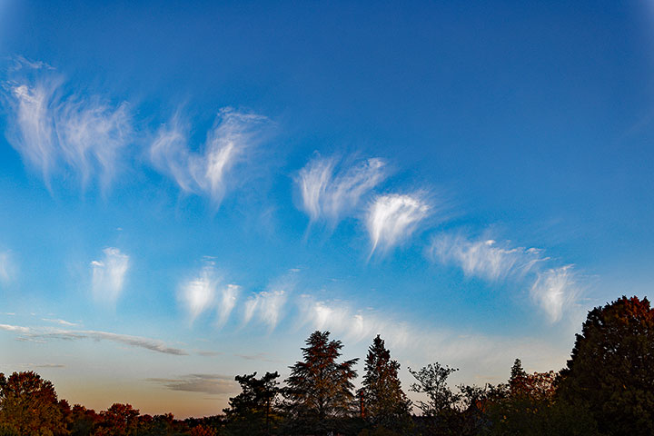 260927n7202-b.jpg