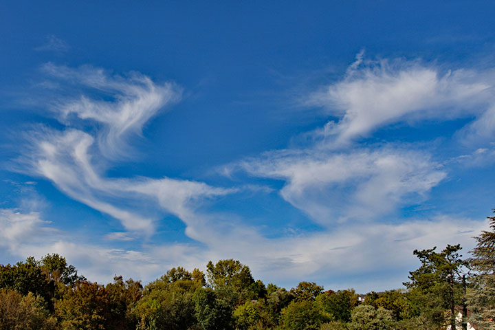 260929n7211-b.jpg