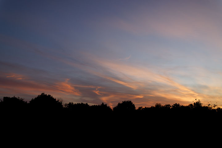 261002n7212-b.jpg