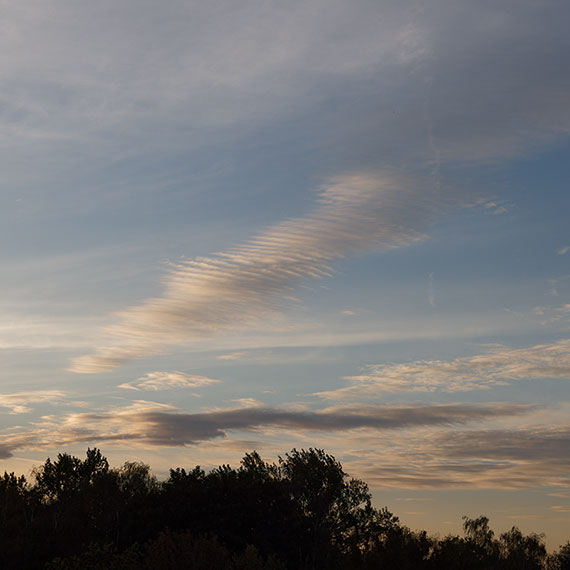 261004n7218-b.jpg