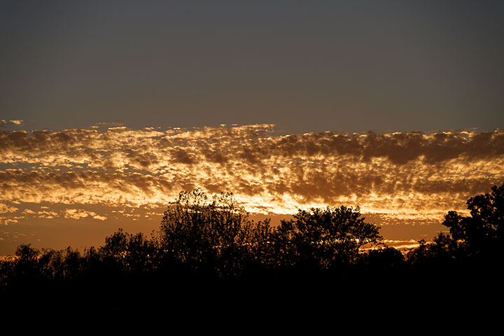 261005n7223-b.jpg