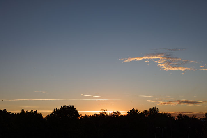 261006n7239-b.jpg