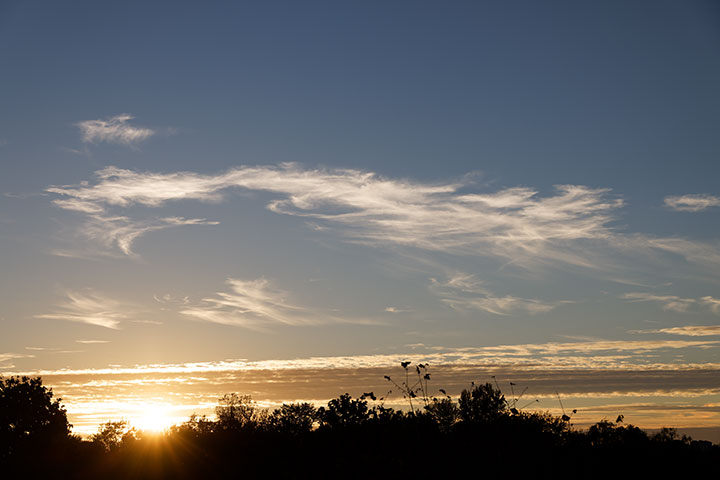 261012n7249-b.jpg