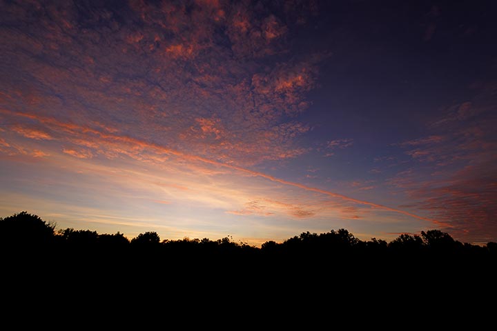261015n7270-b.jpg