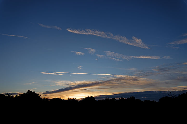 261027n7311-b.jpg